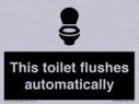 this-toilet-flushes-automatically~